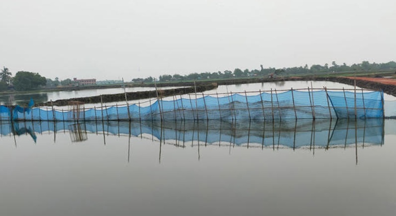 পাইকগাছায় খাসখালে বাঁধ দিয়ে মাছ চাষ,জলাবদ্ধতায় হুমকির মুখে নির্মাণাধীন ৬ কোটি টাকার রাস্তা